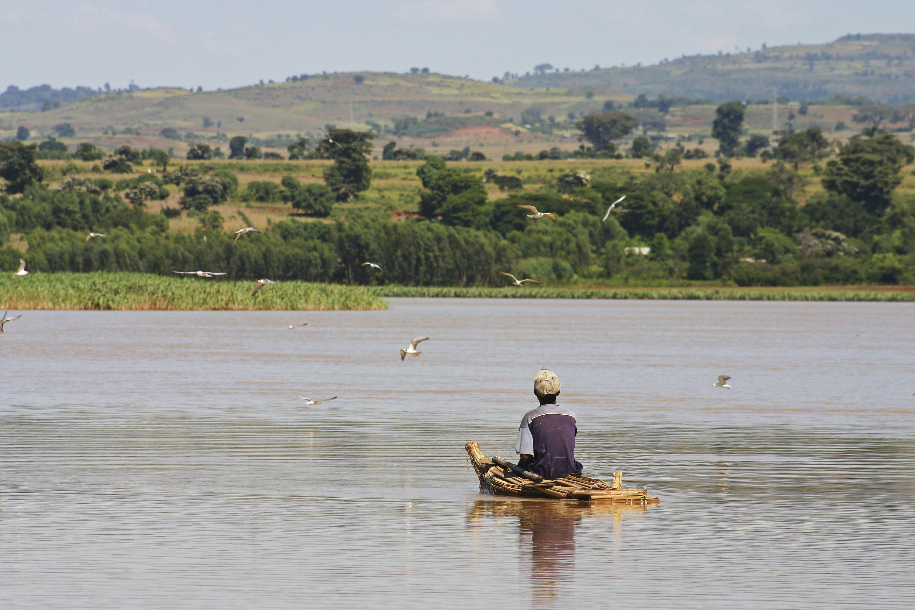 Fisherman on Lake Tana, Ethiopia