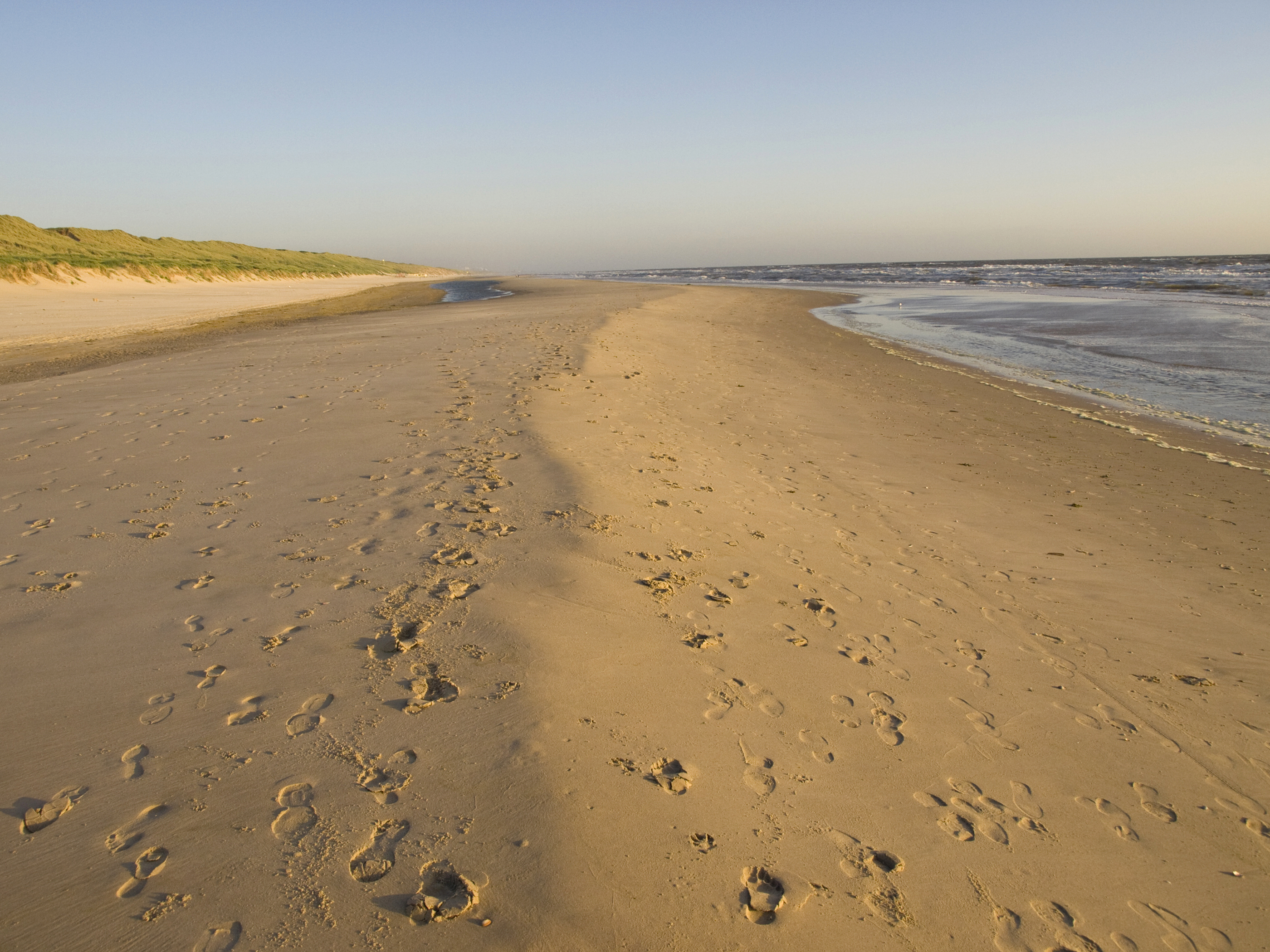 Deserted beach, Netherlands