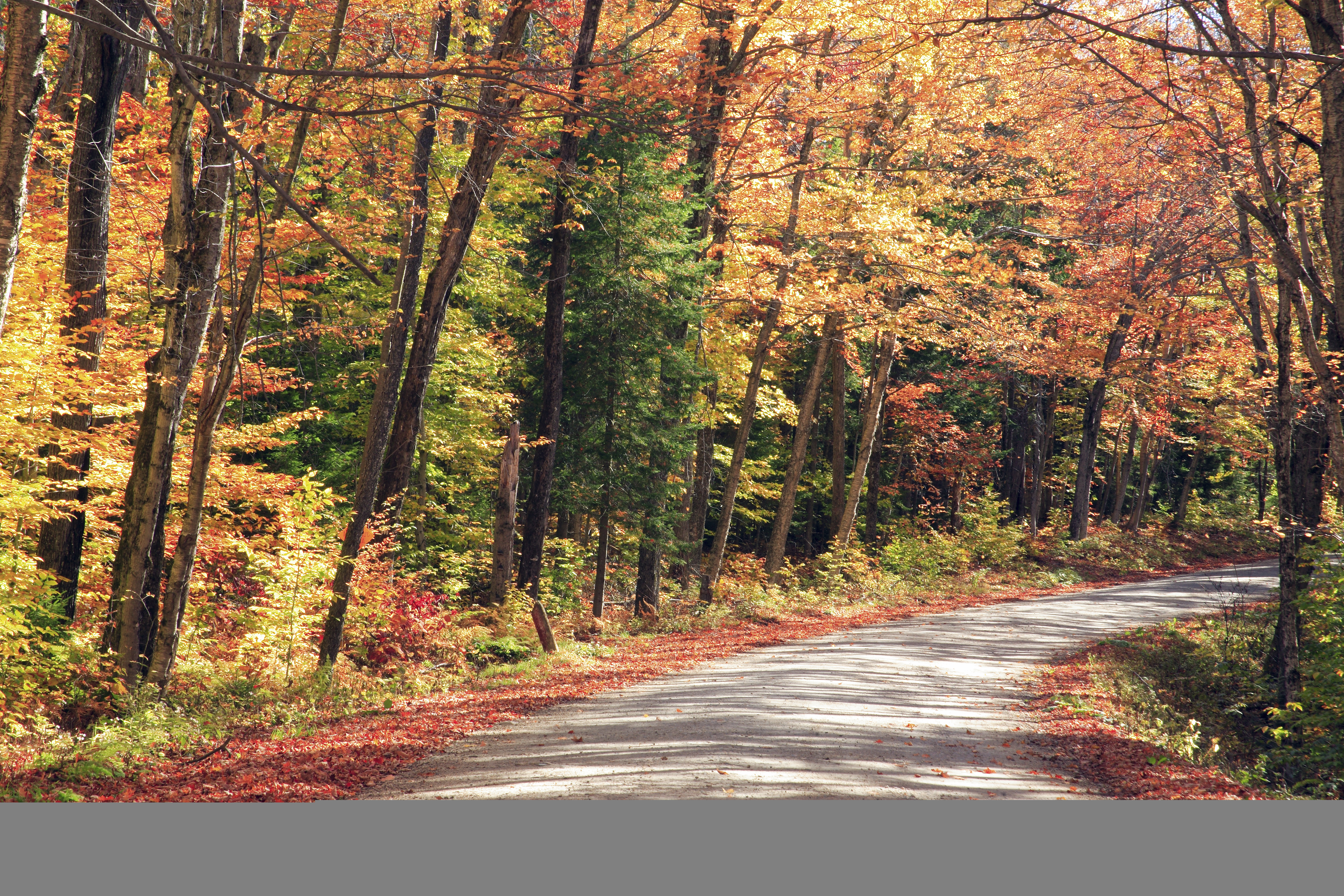 Fall foliage, Vermont