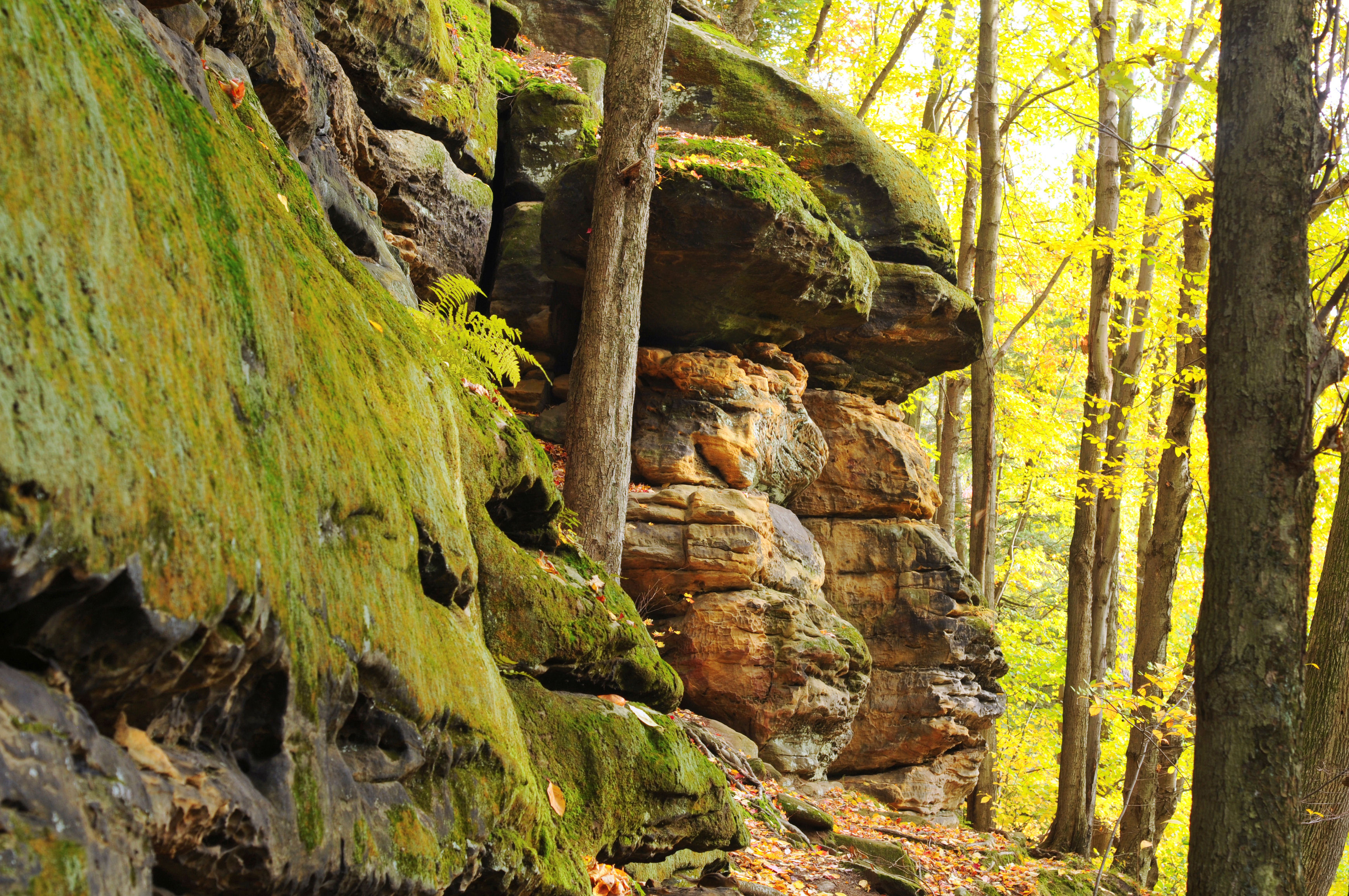 Rock ledge faces, Ohio