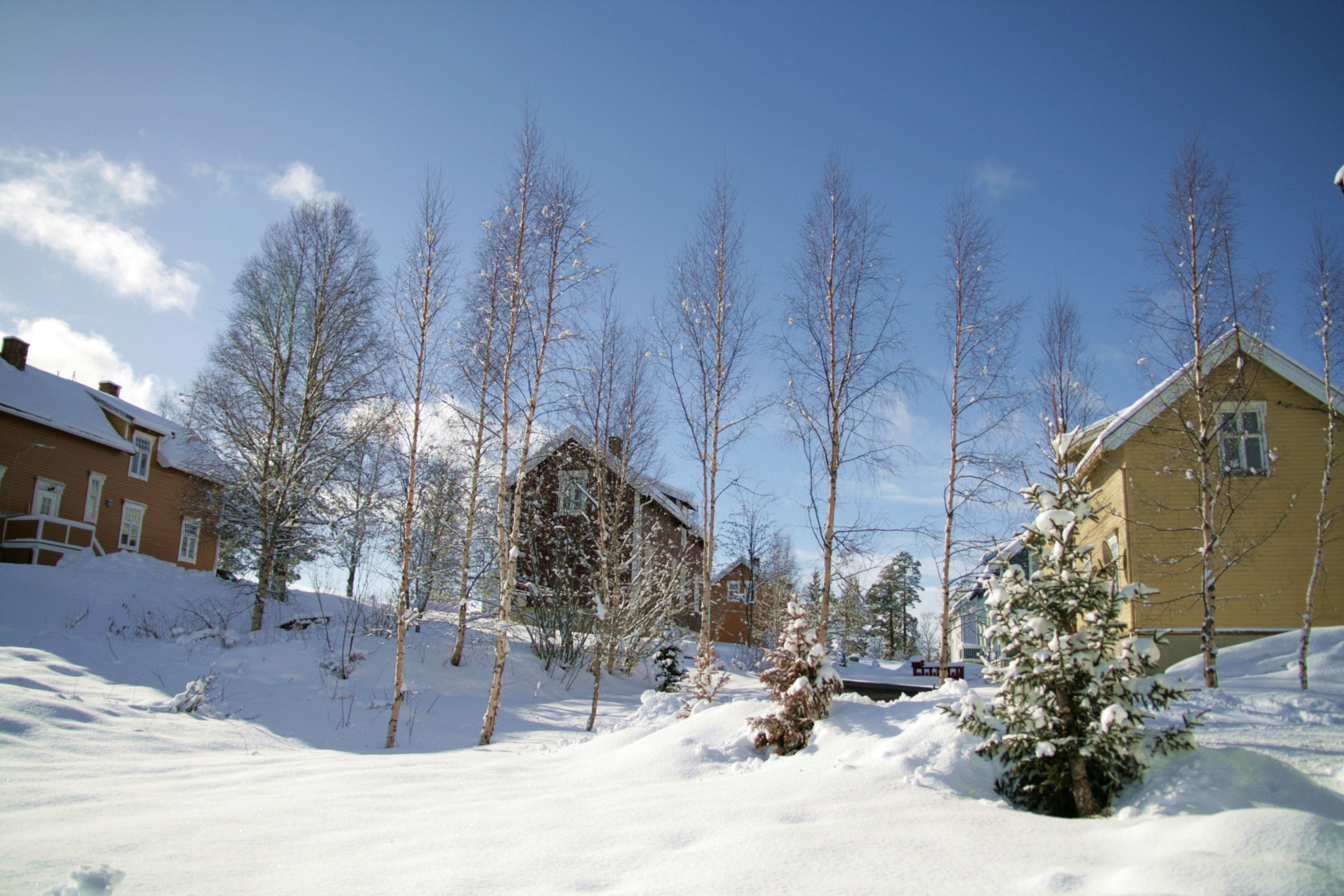 Winter neighbourhood, Norway