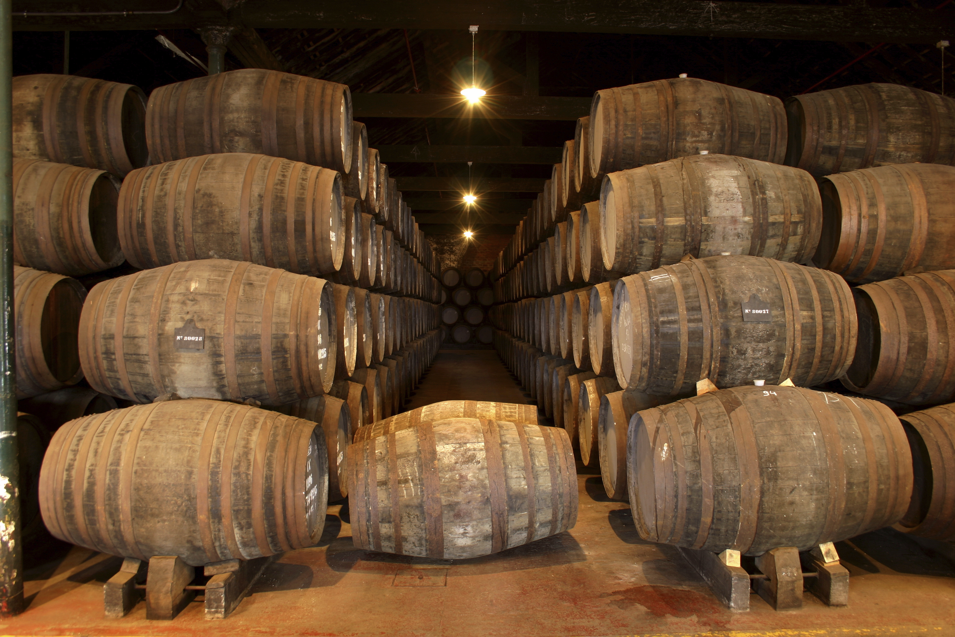 Take a tour of the wine cellars of Porto