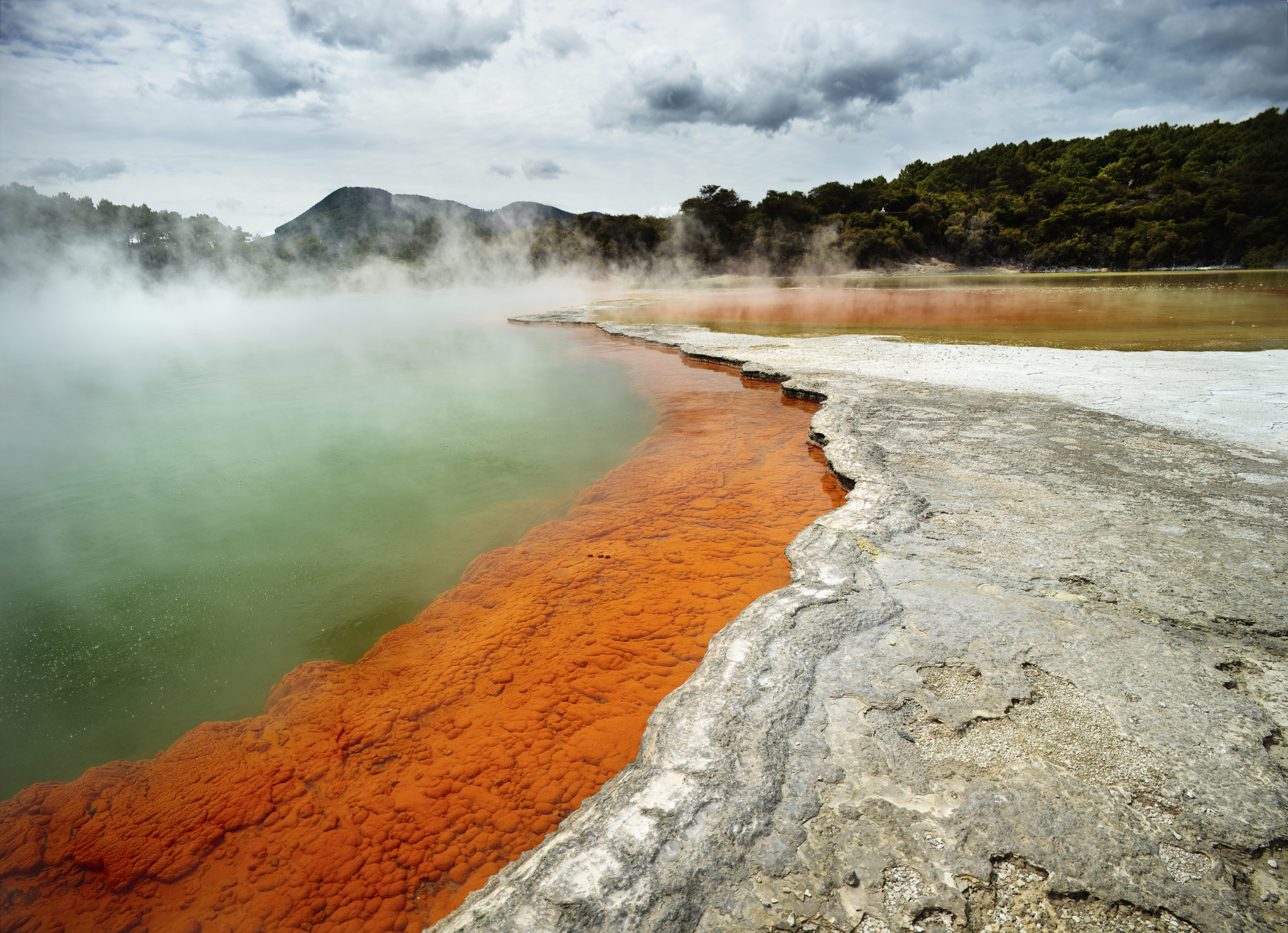 Geothermal lakes at Rotorua, New Zealand