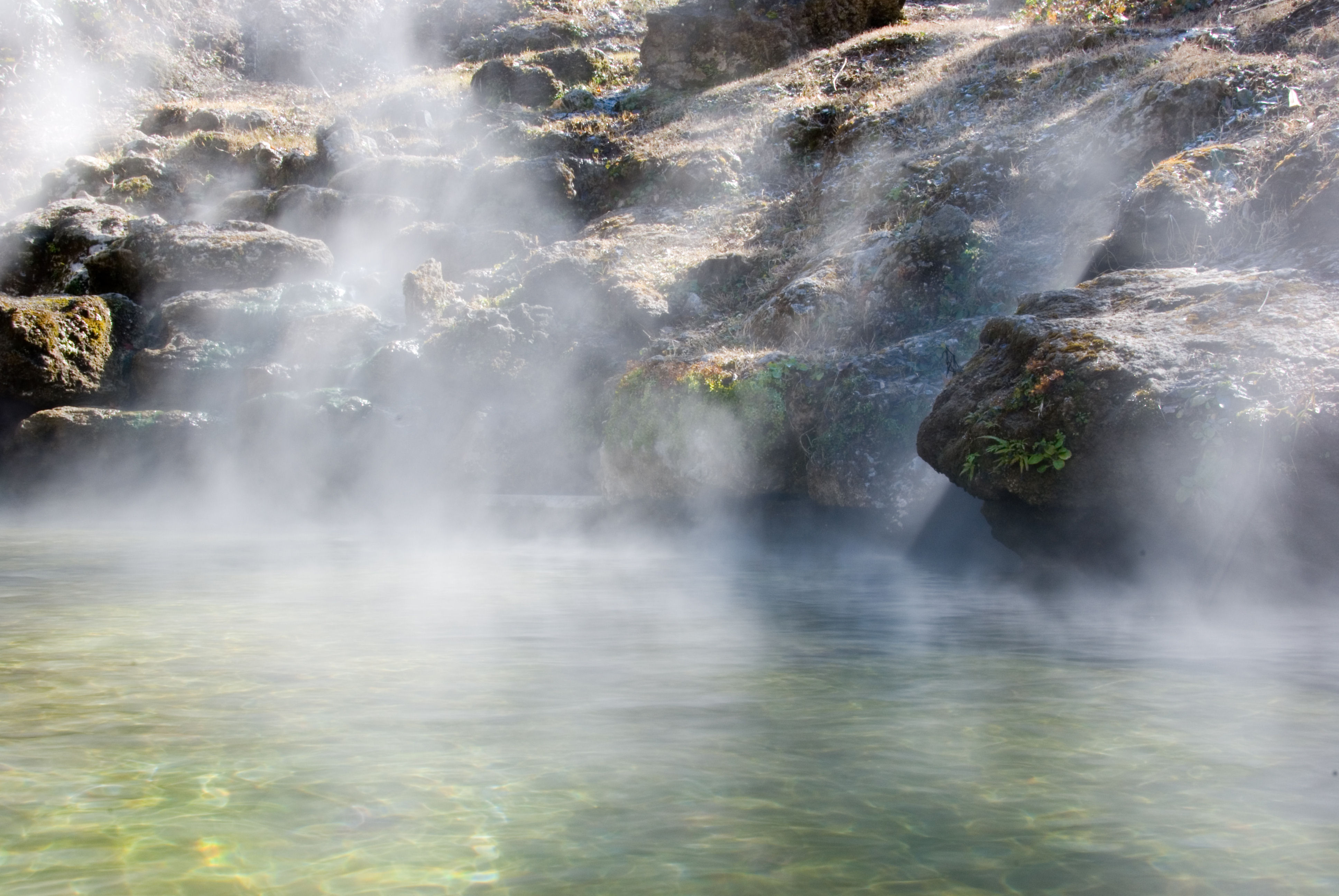 Bathe in hot springs, Arkansas