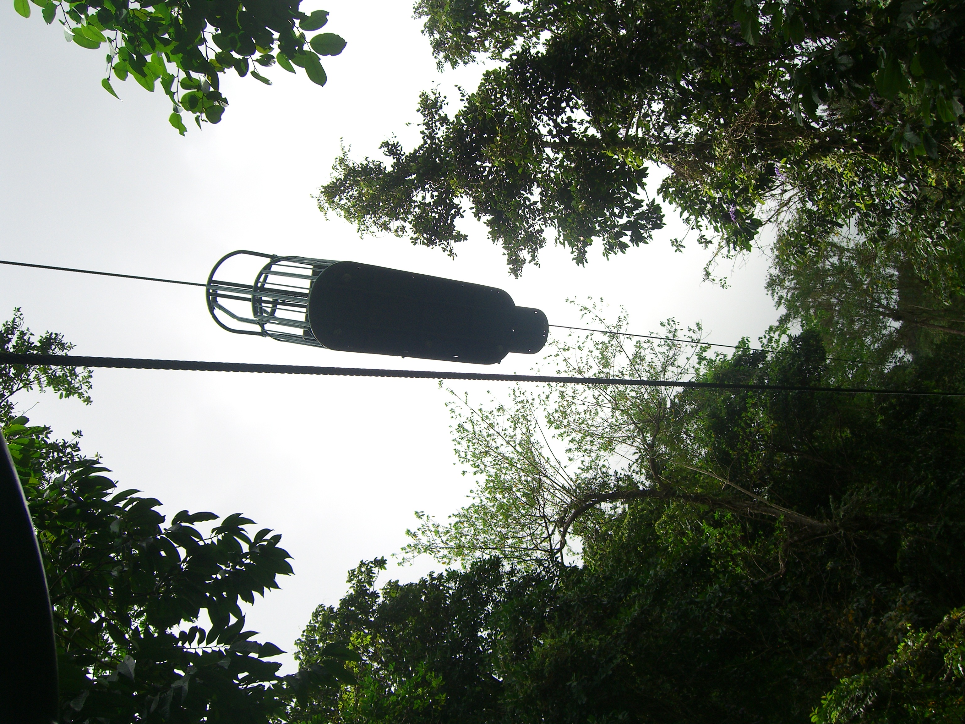 Gondola ride into rainforest, St Lucia