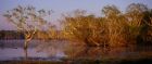 Sandy creek, Kakadu National Park, near Darwin