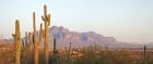 Superstition Mountains, Phoenix