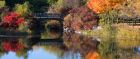 Autumn colours, Parc Jean-Drapeau, Montreal