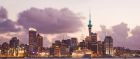 Auckland's Sky Tower pierces the cityscape, New Zealand