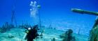 Diving, Cayman Islands