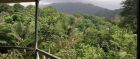 Hike through the island's rainforest