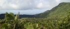 Puerto Rico's El Yunque forest reserve
