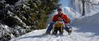 Sledging in Seefeld