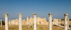 Roman Ruins, Salamis, Cyprus