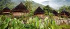 Traditional huts, Papua New Guinea