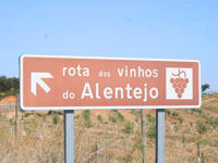 Follow the wine route between the numerous vineyards