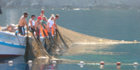 Camogli fisherman use 500-year-old sustainable methods 