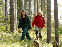 Finnish summers are the season for gentle hiking 