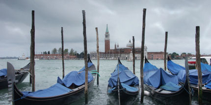 Venice: Not Springer's favourite memory